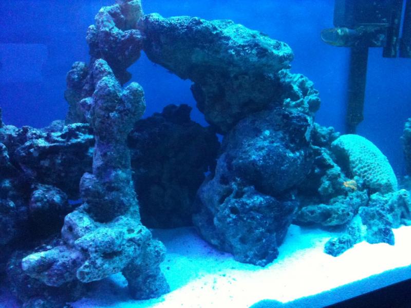 grotta del f......