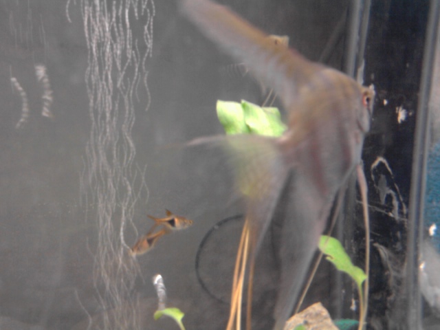 Foto0467