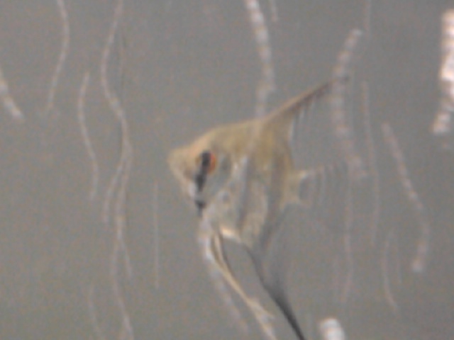 Foto0468