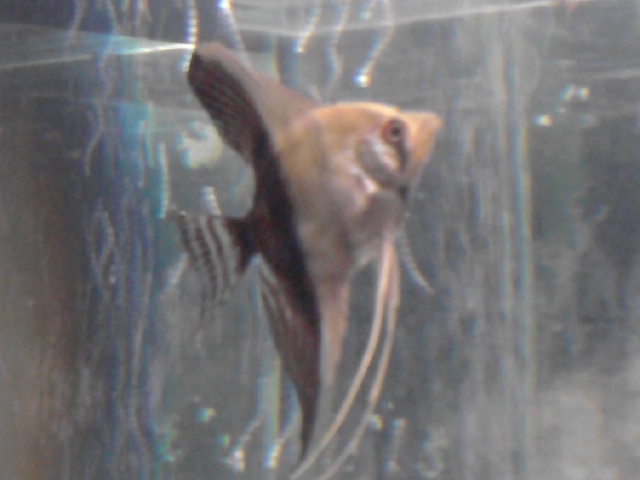 Foto0469