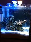 NANO REEF TROPICALE