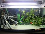 Freshwater Mixed Tank