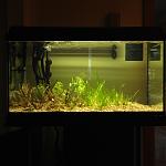 Acquario 120 lt