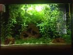 Acquario 80 lt